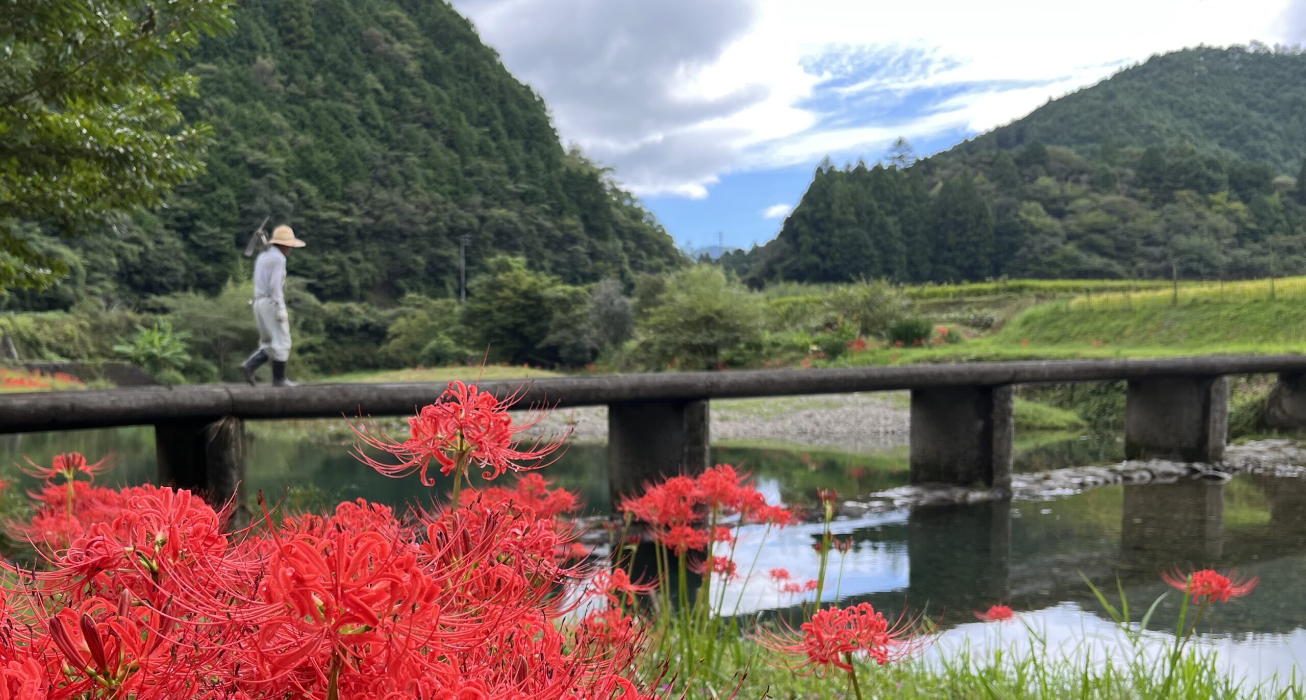 高知県の地質 (1969年) IMG_2908-scaled.jpg